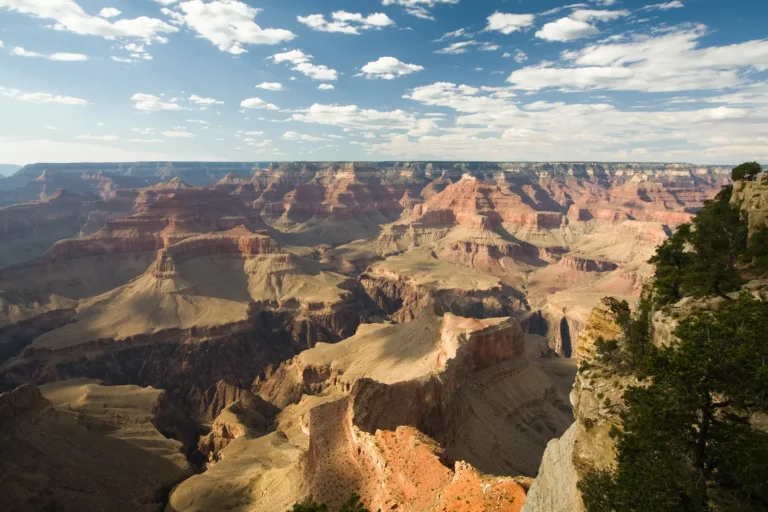 Insurance Claim in Arizona? | Noble Public Adjusting Group