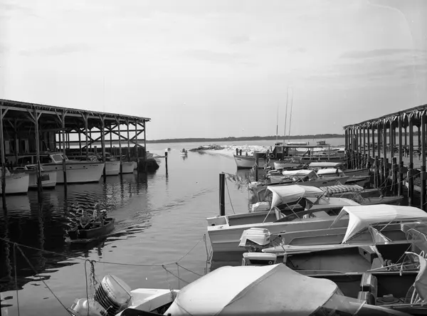 Public Adjusters in Alligator Point, FL | Noble PA Group