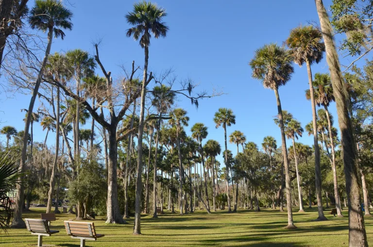 Public Adjusters in Atlantic Beach, FL | Noble PA Group