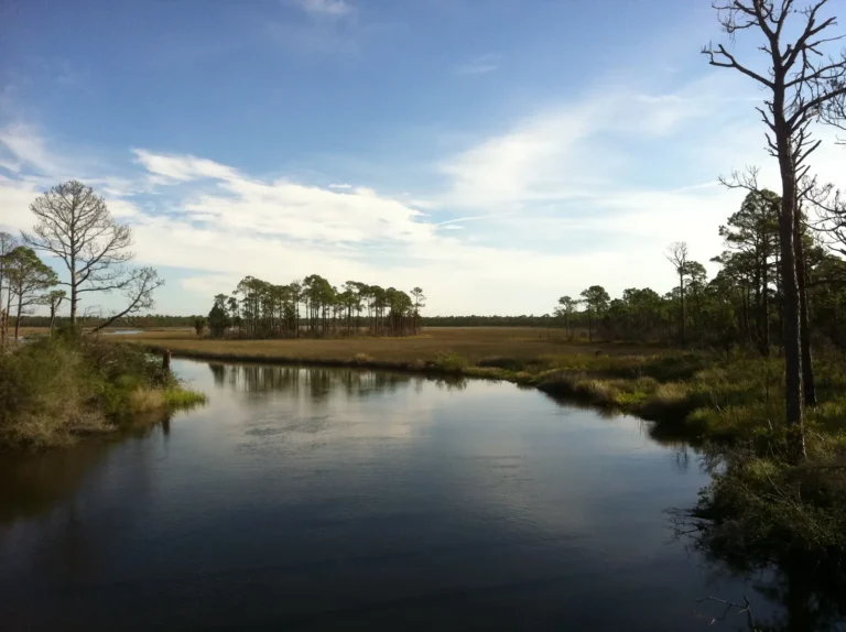 Public Adjusters in Bald Point, FL | Noble PA Group