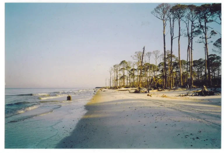 Public Adjusters in Cape San Blas, FL | Noble PA Group