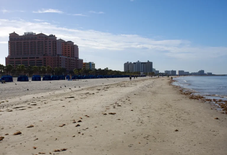 Public Adjusters in Clearwater, FL | Noble PA Group