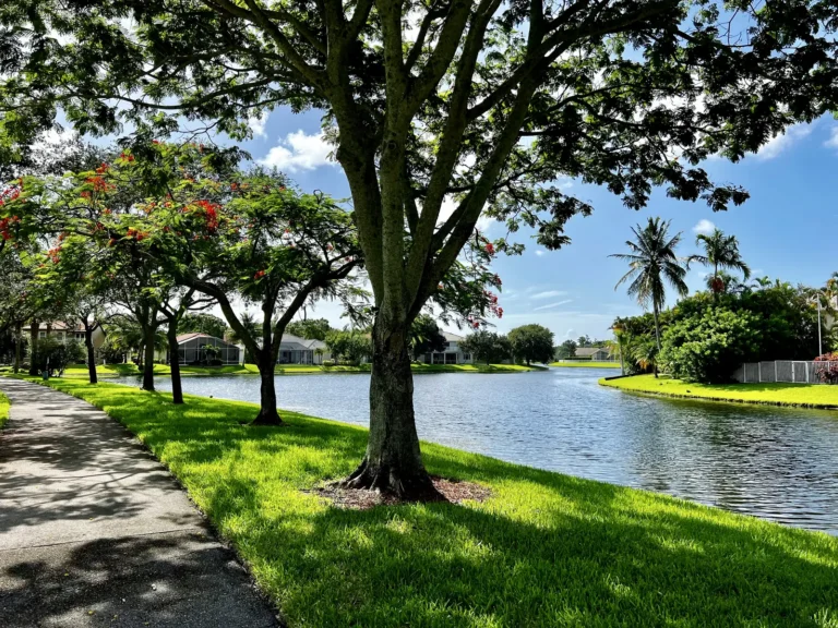 Public Adjusters in Coconut Creek, FL | Noble PA Group