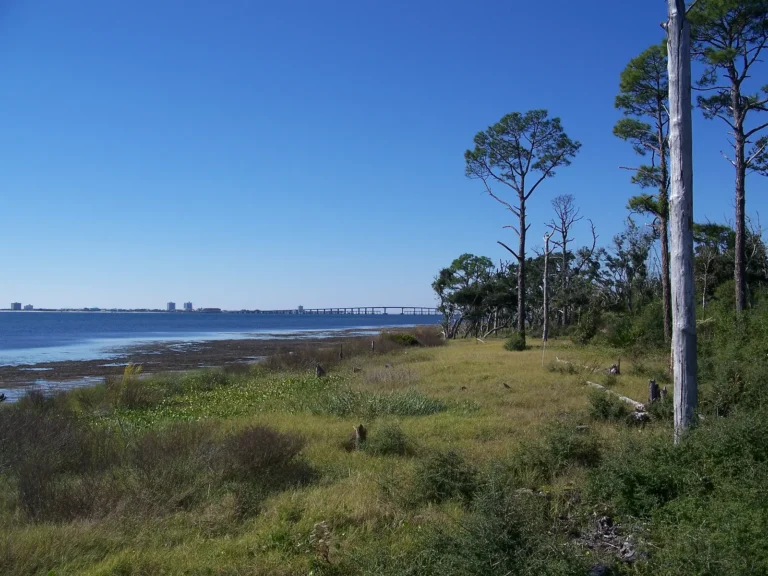 Public Adjusters in Gulf Breeze, FL | Noble PA Group