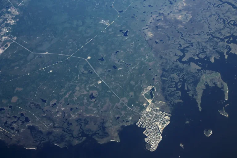 Public Adjusters in Horseshoe Beach, FL | Noble PA Group