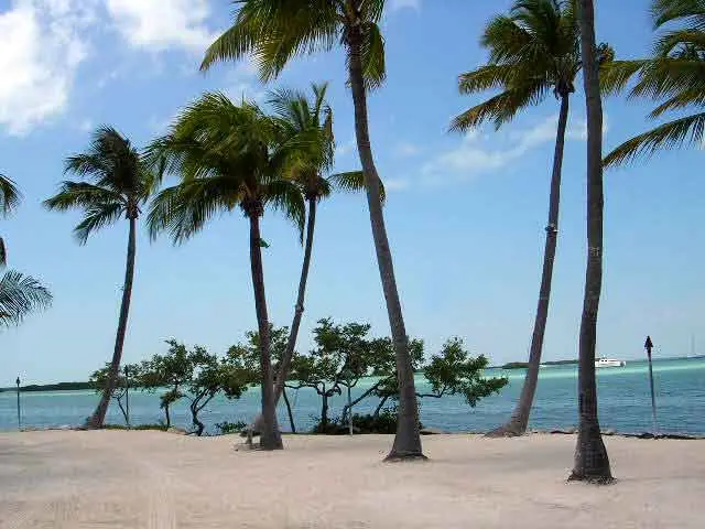 Public Adjusters in Islamorada, FL | Noble PA Group