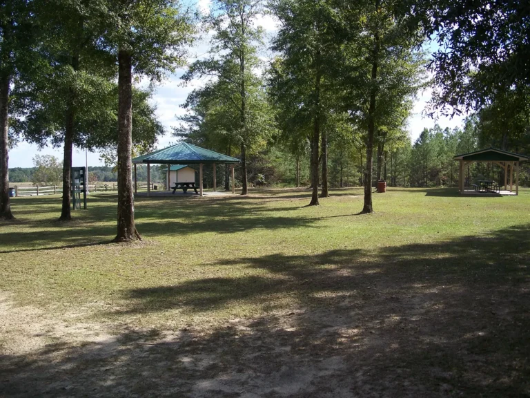 Public Adjusters in Lakewood Park, FL | Noble PA Group