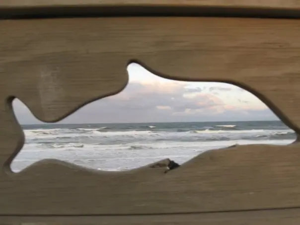 Public Adjusters in Marineland, FL | Noble PA Group