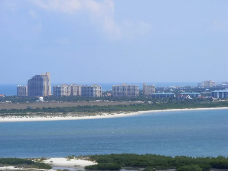 Public Adjusters in New Smyrna Beach, FL | Noble PA Group
