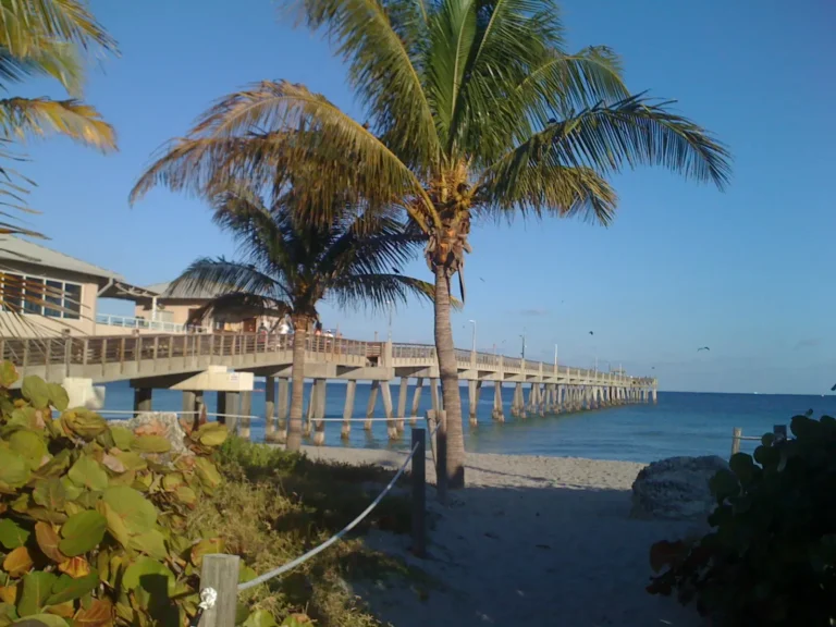 Public Adjusters in North Lauderdale, FL | Noble PA Group