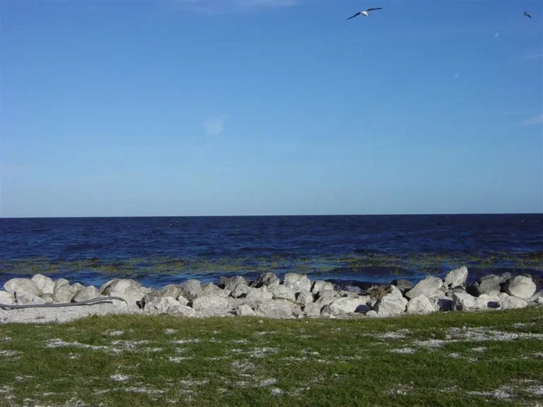 Public Adjusters in Ocean Ridge, FL | Noble PA Group