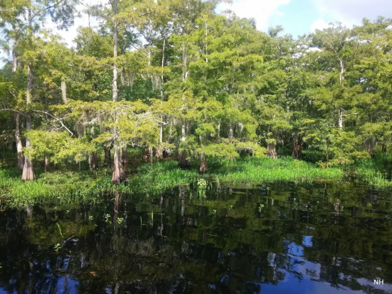 Public Adjusters in Palm Bay, FL | Noble PA Group