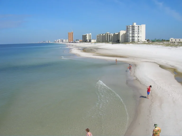 Public Adjusters in Panama City Beach, FL | Noble PA Group