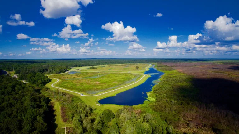 Public Adjusters in Sweetwater, FL | Noble PA Group