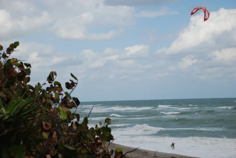 Public Adjusters in Tequesta, FL | Noble PA Group