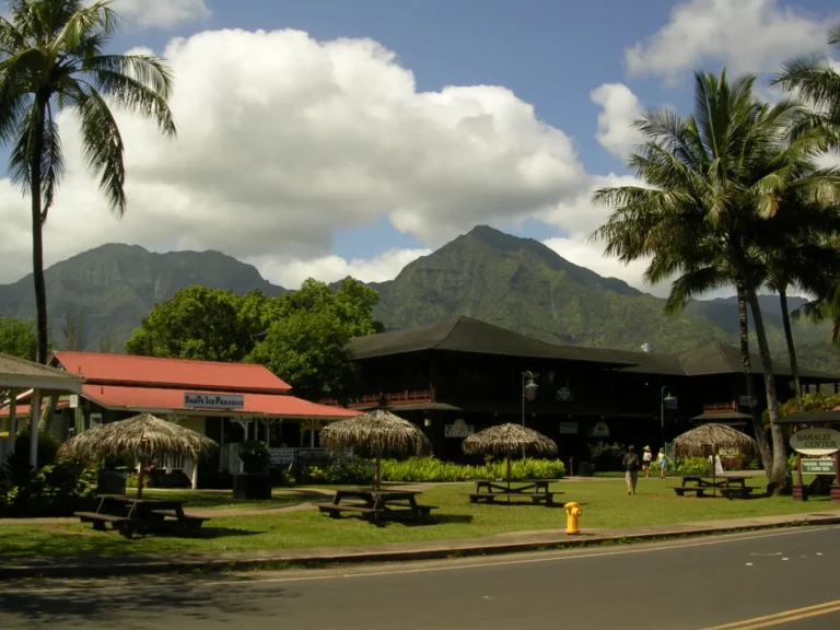 Public Adjusters in Hanalei, HI | Noble PA Group