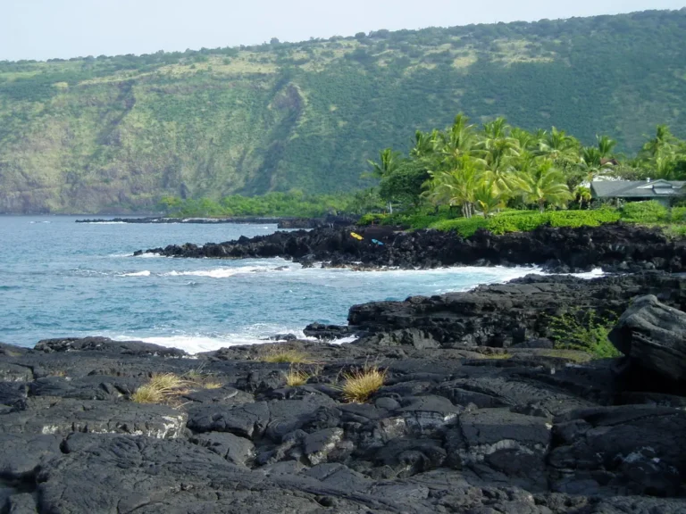 Public Adjusters in Kealakekua, HI | Noble PA Group