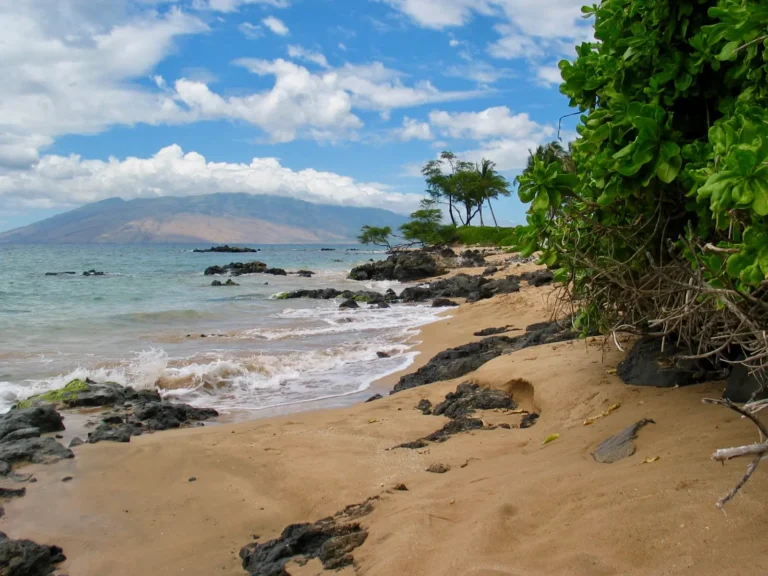 Public Adjusters in Kihei, HI | Noble PA Group