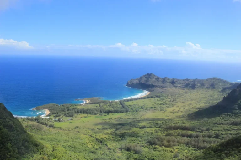Public Adjusters in Kilauea, HI | Noble PA Group