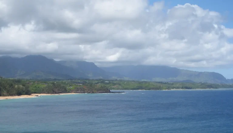 Public Adjusters in Princeville, HI | Noble PA Group