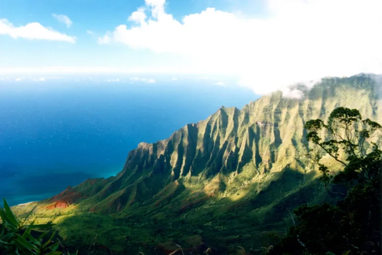 Insurance Claim in Hawaii? | Noble Public Adjusting Group
