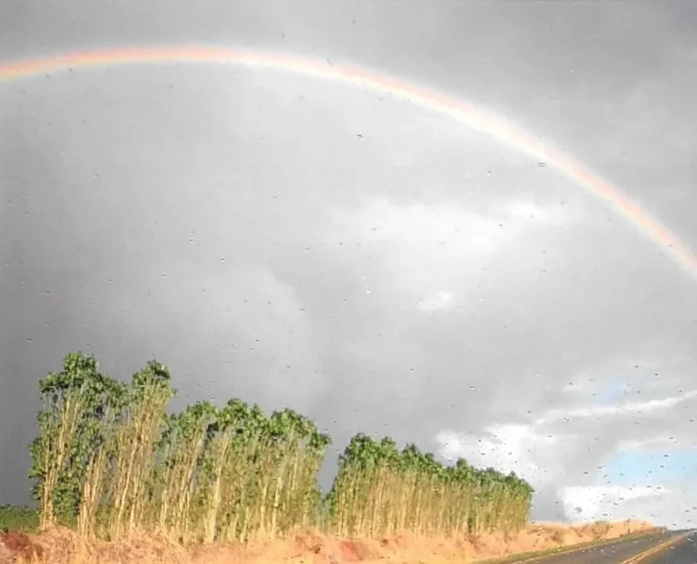 Public Adjusters in Wahiawa, HI | Noble PA Group