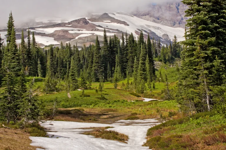 Insurance Claim in Idaho? | Noble Public Adjusting Group
