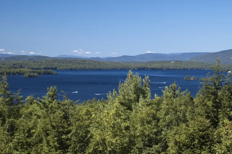 Insurance Claim in NH | Noble Public Adjusting Group