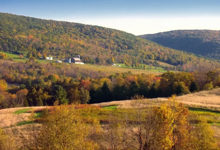 Insurance Claim in PA | Noble Public Adjusting Group