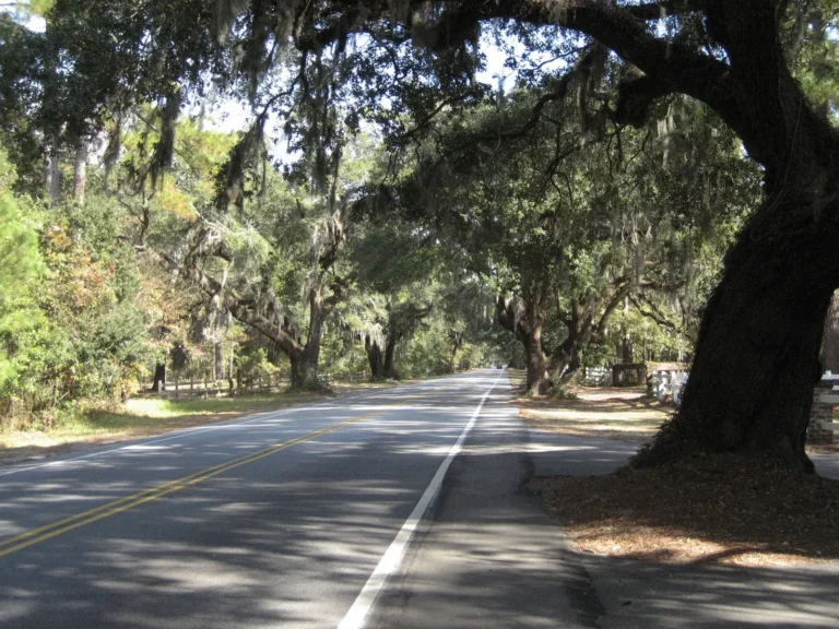 Public Adjusters in Bluffton, SC | Noble PA Group