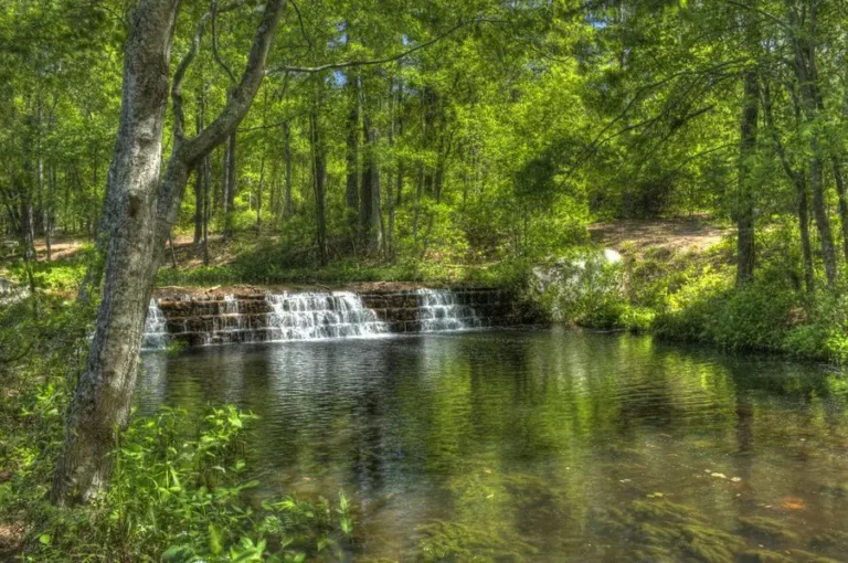 Public Adjusters in Blythewood, SC | Noble PA Group