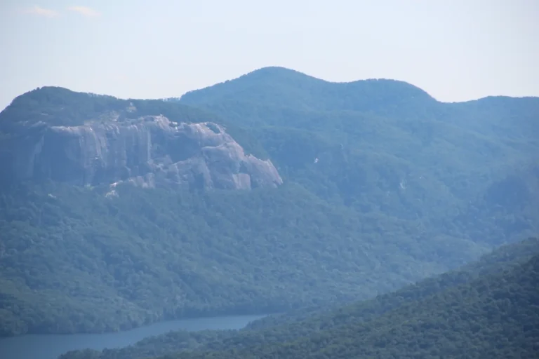 Public Adjusters in Mauldin, SC | Noble PA Group