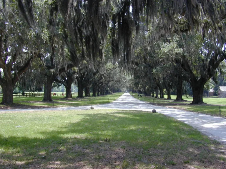 Public Adjusters in Mount Pleasant, SC | Noble PA Group